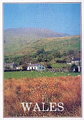 1996 - Grande-Bretagne 08-a (14 mai 1996)